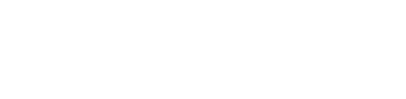 Critical Infra ConnAction logó