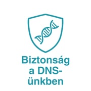 DNS ikon